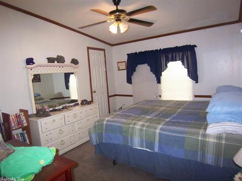 21 Crappie Ln, Conway, AR 72032 photo 20