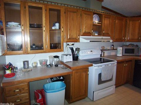 21 Crappie Ln, Conway, AR 72032 photo 31