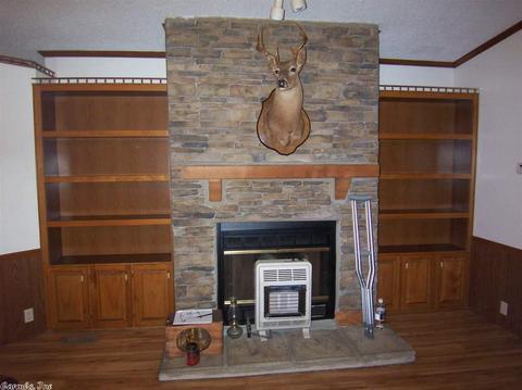 21 Crappie Ln, Conway, AR 72032 photo 11