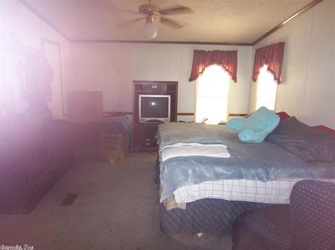 21 Crappie Ln, Conway, AR 72032 photo 13