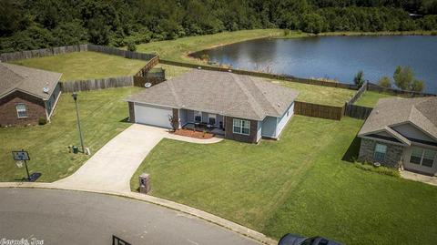 99 Willow Lake Dr, Ward, AR 72176 photo 33