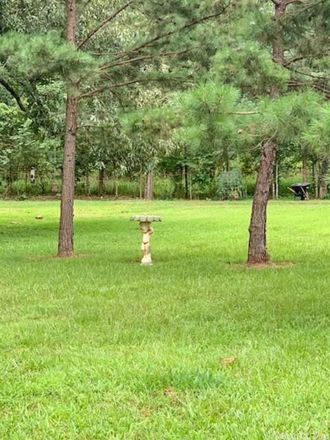 57 Lybrand Rd, Mount Ida, AR 71957 photo 15