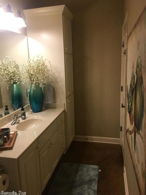 5250 Mulberry Cv, Conway, AR 72034 photo 22