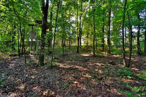 13 Sundown Cv, Cabot, AR 72023 photo 12