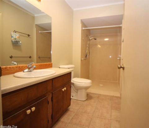 138 Gary St, Clinton, AR 72031 photo 23
