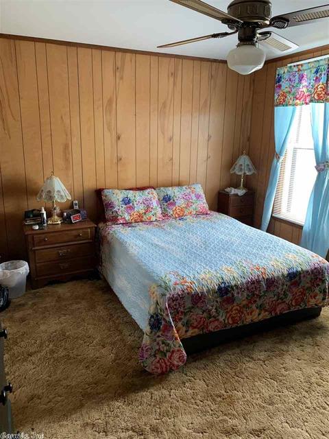 310 SE 3rd St, Walnut Ridge, AR 72476 photo 12