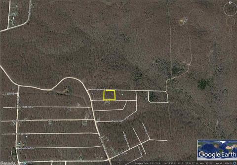 8 Blackbird, Williford, AR 72482 photo 21