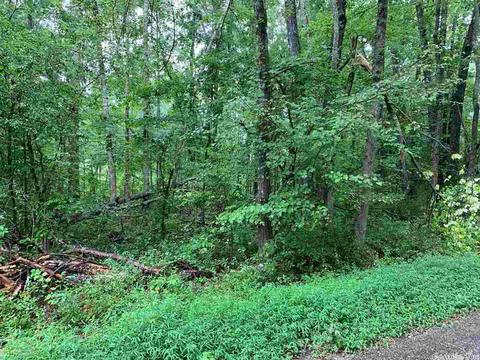 tbd Chickasaw Rd, Royal, AR 71968 photo 4