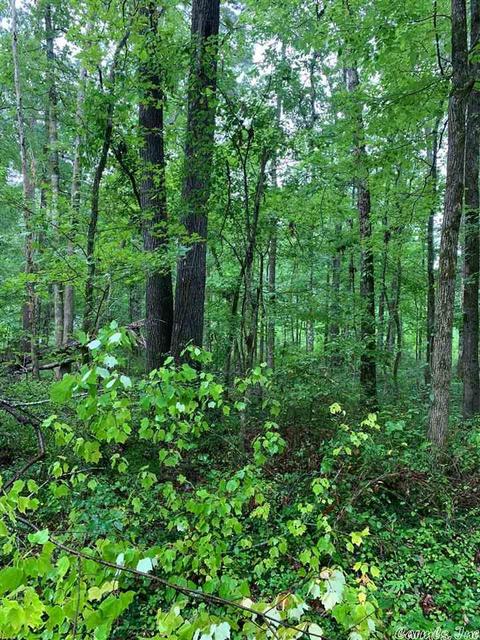 tbd Chickasaw Rd, Royal, AR 71968 photo 3