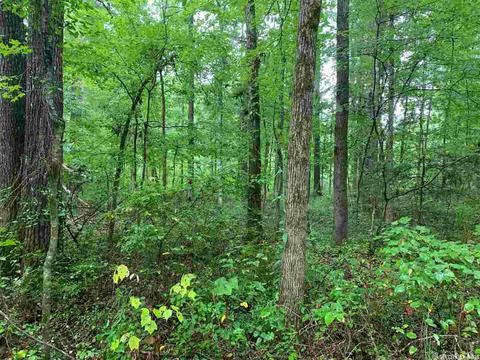 tbd Chickasaw Rd, Royal, AR 71968 photo 2