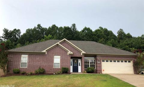 13701 Dynasty Dr, Alexander, AR 72002 photo 1