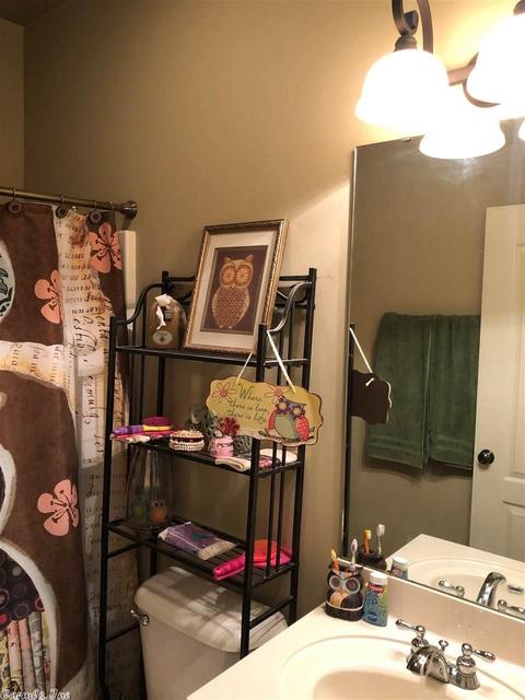 13701 Dynasty Dr, Alexander, AR 72002 photo 33