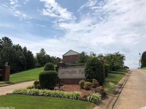 13701 Dynasty Dr, Alexander, AR 72002 photo 36