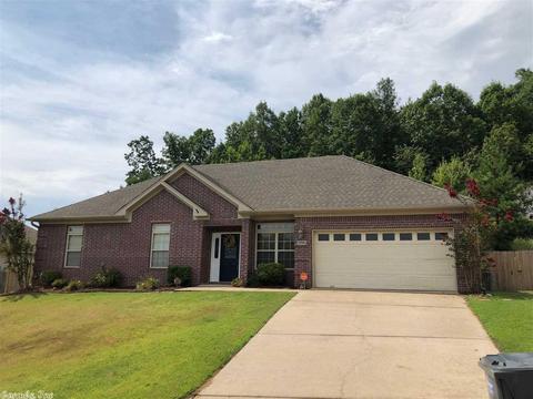 13701 Dynasty Dr, Alexander, AR 72002 photo 37