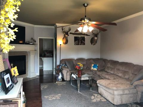 13701 Dynasty Dr, Alexander, AR 72002 photo 8