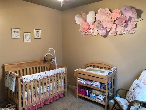 13701 Dynasty Dr, Alexander, AR 72002 photo 30