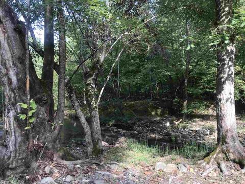 658 Logan Gap Rd, Mount Ida, AR 71957 photo 24