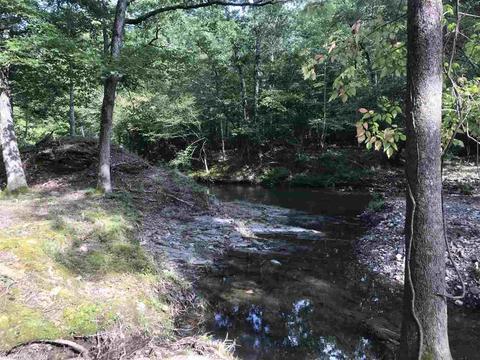 658 Logan Gap Rd, Mount Ida, AR 71957 photo 19