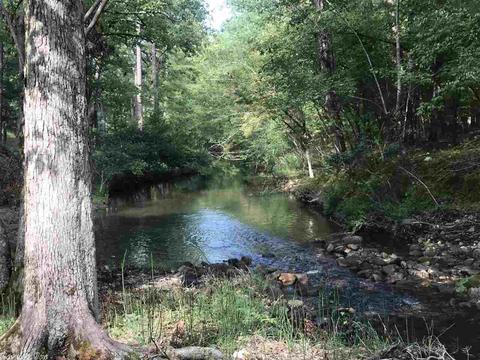 658 Logan Gap Rd, Mount Ida, AR 71957 photo 1