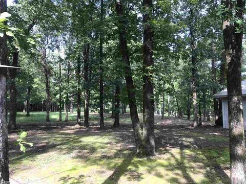 658 Logan Gap Rd, Mount Ida, AR 71957 photo 16