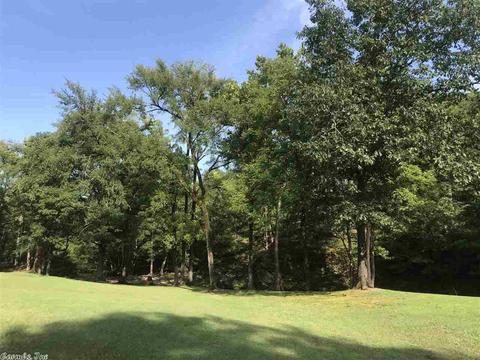 658 Logan Gap Rd, Mount Ida, AR 71957 photo 28