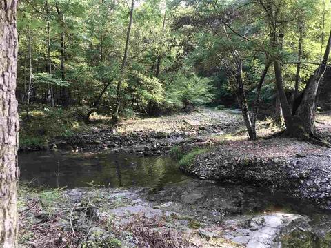 658 Logan Gap Rd, Mount Ida, AR 71957 photo 21