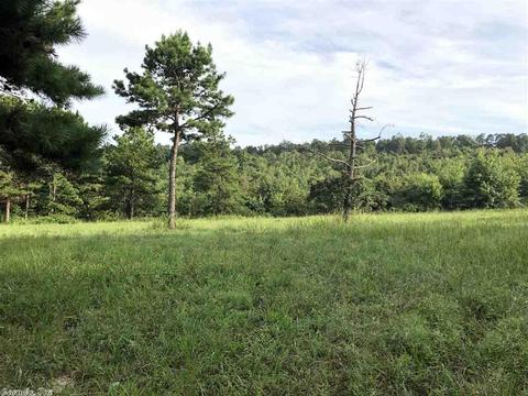 254 Ross Rd, Fox, AR 72051 photo 30
