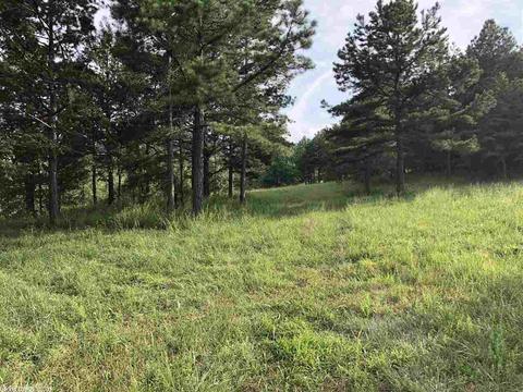 254 Ross Rd, Fox, AR 72051 photo 25