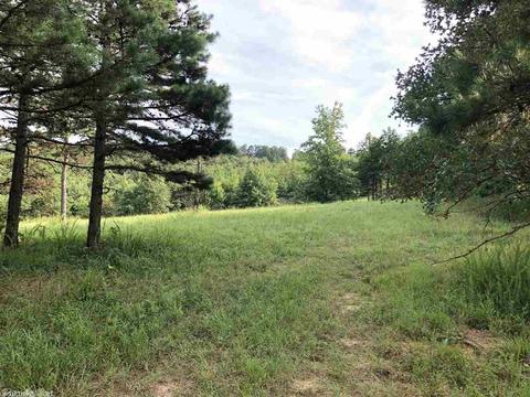 254 Ross Rd, Fox, AR 72051 photo 31