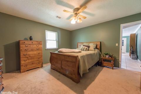 230 Morrison St, Ward, AR 72176 photo 20