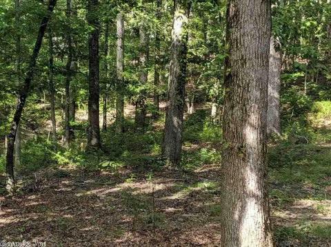 9720 Barbara Rd, Alexander, AR 72002 photo 11