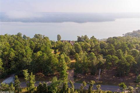 1665 Diamond Bluff Rd, Quitman, AR 72131 photo 5