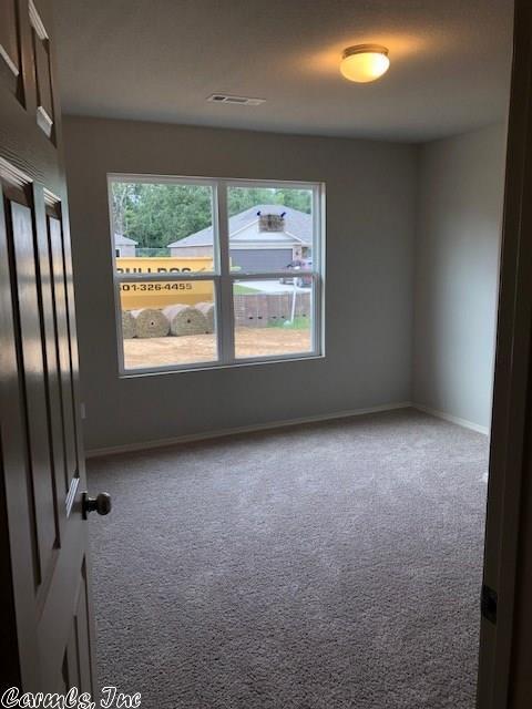 6152 Saddle Hill Dr, Alexander, AR 72002 photo 9