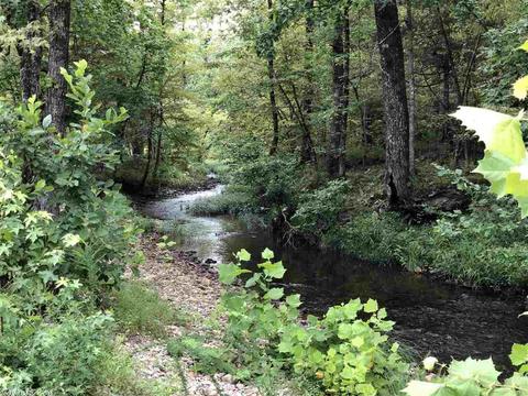 2850 Logan Gap Rd, Norman, AR 71960 photo 3