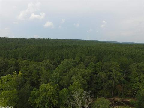 2850 Logan Gap Rd, Norman, AR 71960 photo 6