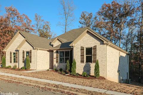 919 Caddo Dr, Benton, AR 72019 photo 2