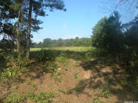5927 Highway 54, Pine Bluff, AR 71603 photo 4
