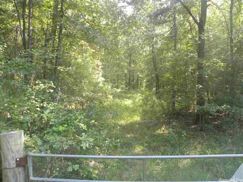 5927 Highway 54, Pine Bluff, AR 71603 photo 9