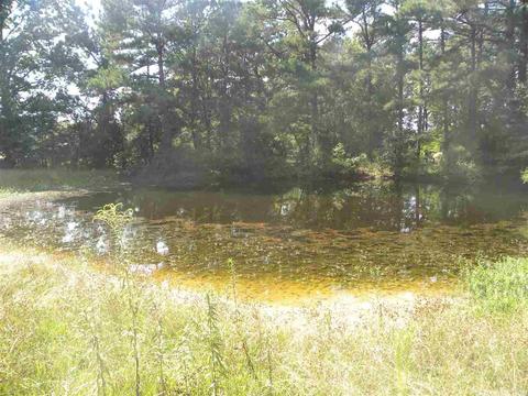 5927 Highway 54, Pine Bluff, AR 71603 photo 1
