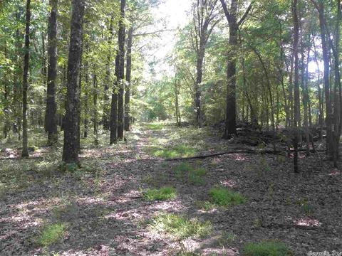 5927 Highway 54, Pine Bluff, AR 71603 photo 5