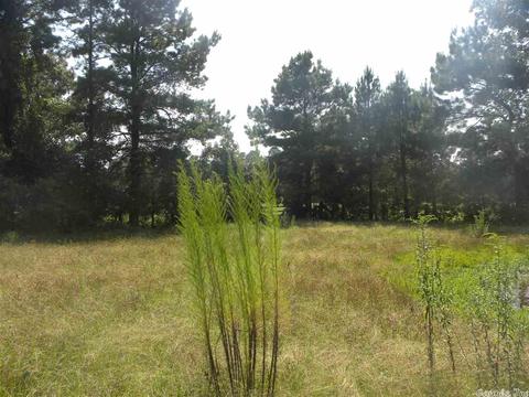 5927 Highway 54, Pine Bluff, AR 71603 photo 6