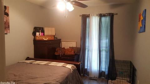 307 Rtz Dr, Benton, AR 72019 photo 29