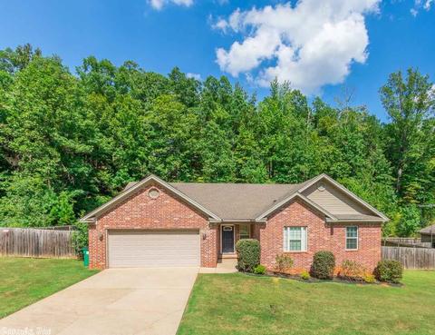 3983 Eastern Slope Dr, Alexander, AR 72002 photo 38