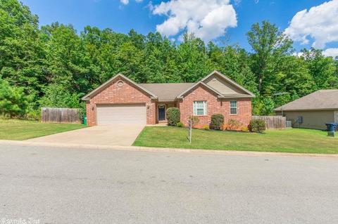 3983 Eastern Slope Dr, Alexander, AR 72002 photo 37