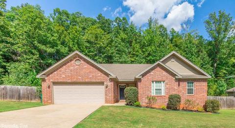 3983 Eastern Slope Dr, Alexander, AR 72002 photo 1