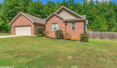3983 Eastern Slope Dr, Alexander, AR 72002 photo 2