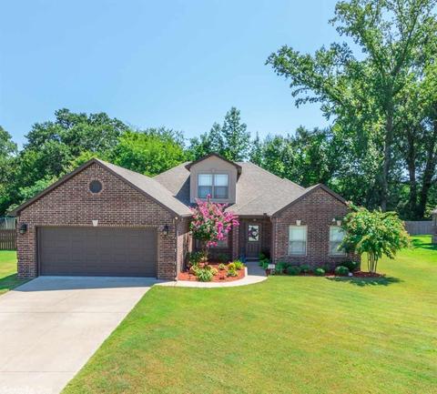 3020 Plateau Dr, Conway, AR 72032 photo 1