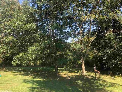 11834 Zuber Rd, Alexander, AR 72002 photo 5