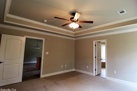 378 Reuben Dr, Alexander, AR 72002 photo 10