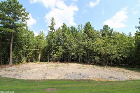 378 Reuben Dr, Alexander, AR 72002 photo 26